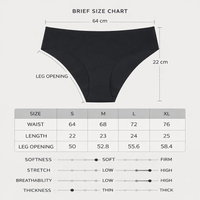 C Section Recovery Underwear for Women with Low Rise Design, Postpartum Maternity with Ice Silk Material, Seamless Knickers After Birth