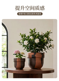 彩晶石花盆绿萝盆景加大阳台创意花盆种菜多肉植物加厚树脂盆栽