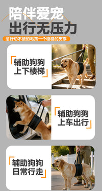 狗狗辅助带老龄犬上楼腿部背带走路狗腿护残疾疾复带跨境代发XJ