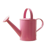 Watering Can with Sprinkler Rose Indoor Metal Watering Can Lightweight