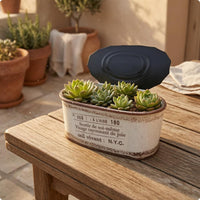 Mini Oval Planter Distressed Finish Home Decor Industrial