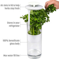 Plastic Herb Keeper for Freshness