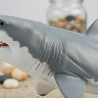 Megalodon Toy Highly Detailed Megalodon Figurine Educational