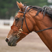 Bridle with Padded Noseband Heavy-Duty Training Bridle Stainless Steel Tack for Horse Trainers, Riding, Groundworking