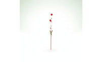Cat Teaser Wand Toy Dangling Cat Wand with Bell Soft Lightweight for Cats, Playtime, Indoor Exercise