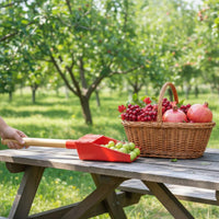 Jujube Picking Tool Multiversatile Fruit Harvesting Gathering Head Pole Mountable Fruit Picker Head for Farm, Garden