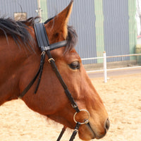 Horse Bridle with Long-Lasting PVC Horse Bridle Secure Snap Closure for Stables