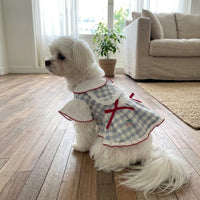 Cute Dog Dress and Cat Dress with Lace Skirt - White Plaid and Lace Skirt - Blue Plaid, Gingham Small Dog Clothes in Dopamine Style for Parties