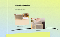 Karaoke mic with subwoofer