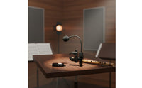 High-Fidelity Sound Wireless Flute Audio Pickup Rechargeable Extended-Life Battery Wind Instrument Pickup System Noise Reduction Attach-on Instrument Audio Pickup Low Latency for Musicians, Performers, Stage Performance, Live Broadcasting, Recording