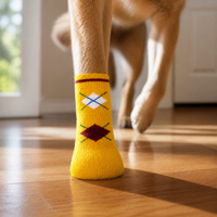 Pet Dog Anti-Slip Indoor Socks for Small Dogs - Teddy, Bichon, Puppy Paw Protection