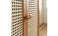 Multi-Layer Shoe Rack Removable Shelves Entryway Cabinet with Doors Open Bottom Shelf Rattan Footwear Storage Unit for Hallway