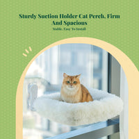 Cat shelf with suction mount.