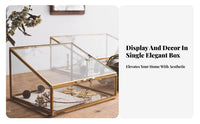 Trapezoid Glass Display Case Gilded Finish Frame Lidded Glass Case Clear View