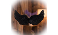 Angel Wings Feathered Feather Wings Wing Accessory Black Lightweight for Halloween, Cosplay