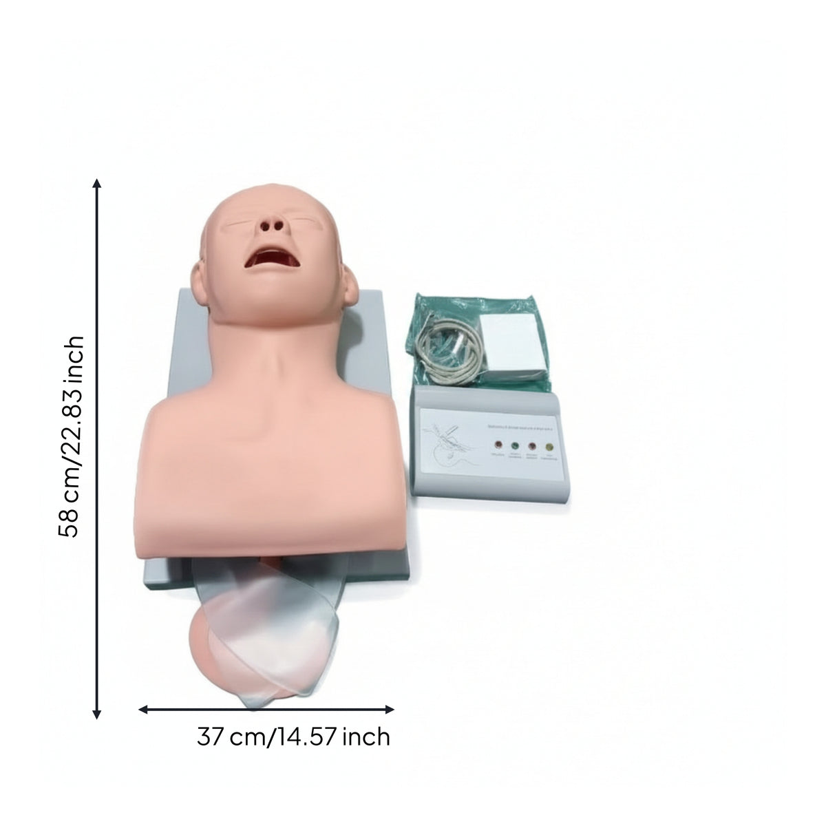 Tracheal Intubation Training Model Realistic for Medical Students