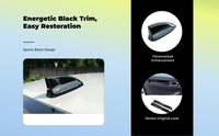 Glossy black trim for 11th Gen Sedan interior door upgrade