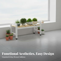 4-Tier Ladder Rack Freestanding Plant Stand Modern design for Apartment Dwellers