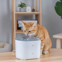 Rechargeable Kitty Fountain Easy to Clean Pet Care Item Large Capacity