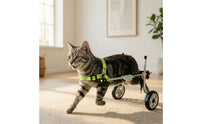 Lightweight Dog Wheelchair Long-Lasting Dog Wheelchair with Harness Stable Pet Mobility Aid Easy to Assemble for Disabled Pets