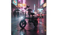 Portable Folding Electric Bike Double Disc Brakes Small Folding Electric Bike Compact Adult Electric Bicycle