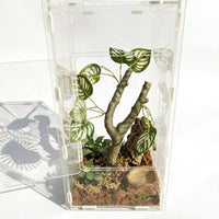 Lifelike Reptile Branch for Snake Accessories, Realistic Climbing Branch with Multi-Colored Leaves, 20cm X 7cm, 1 Piece
