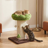 Scalloped Edge Scratching Post Cat Tree Hanging Ball Toys Small Cat Tree Green and Brown Sisal Scratching Post Stable Base