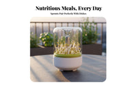 Bean Sprout Growing Kit Grow Crisp Sprouts Bean Sprout Grower Glass Sprout Grower Jar Stainless Steel Mesh Countertop Germinator