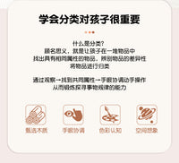 Wooden Color Sorting Cup Toy for Kids