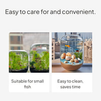 Desktop Glass Fishbowl Set, Mini Betta Aquarium Habitat