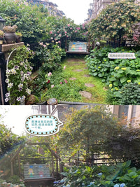 清仓户外蘑菇爬藤架园艺柱形花架庭院花园伞型铁艺爬藤花架微瑕