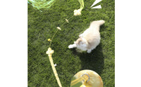 Cat Teaser Wand Toy Dangling Cat Wand with Bell Soft Lightweight for Cats, Playtime, Indoor Exercise