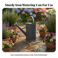 Watering Can with Sprinkler Rose Traditional Watering Can with Rose Head Galvanized Garden Tool for Gardeners
