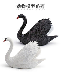 跨境白天鹅黑天鹅装饰摆件仿真认知农场家禽野生动物天鹅模型儿童