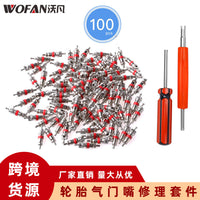 100-Piece Tire Valve Core Repair Kit with Dual-Head Remover