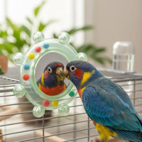 2 Pieces Bird Mirror Toy Enrichment Enclosure Mirror Safe Chewing