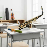 Easy to Play Black Alto Saxophone Shell Keys Eb Alto Sax Complete Accessory Set for Practice