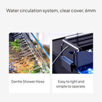 Desktop Glass Aquarium with Side Filter and LED Lighting