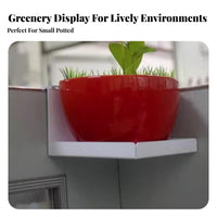 Minimalist Design Partition divider holder Space Saving Cubicle Partition holder adaptable Use Plant Holder Sturdy for Students, Windowsill, Workspace, Study Room