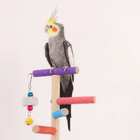 Parrot Playstand Chewing Parrot Play Stand Textured Pet Supply for Budgies
