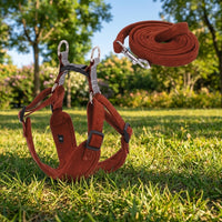 Vest Style Harness and Leash Set for Outdoor Walking, Suede Dog Vest Harness for Small Medium Dogs and Cats, Non-Retractable Dog Walking Leash