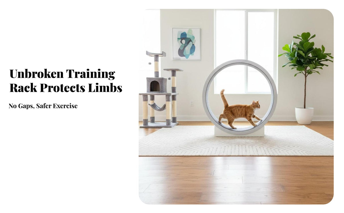 Quiet Operation feline Exercise Wheel Promotes Fitness Feline Treadmill Large Size Pet Furniture Stable Base for Indoors, Living Room, Home