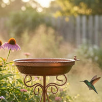 Freestanding Bird Bath Round Basin Freestanding Bird Feeder Weatherproof