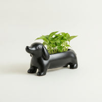 Dachshund Planter Lightweight Dachshund Plant Pot Dog-Shaped Planter for Desk, Shelf, Patio