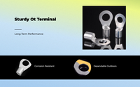 Copper Ring Terminal for Auto