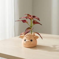 Highland Cow Planter Decorative Animal Flower Pot Small for Bookshelf, Office