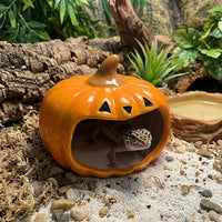 Ceramic Pumpkin Hideout Reptile Hide, Crested Gecko Tank Accessories for Small Pets, Glazed Small Animal Habitat Decor
