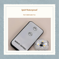 Waterproof RGB LED light, remote