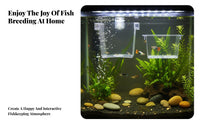 Aquatic Breeder Box Good Water Circulation Aquatic Breeding Box Guppy Breeding Enclosure Anti-Tip Design Easy to Clean