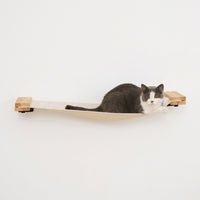 Cat Climbing Frame with Condo and 5 Levels, Wall-Mounted Indoor Furniture and Activity Center, Large Playground for Adult Cats, Space Saving